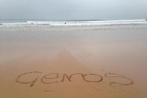 Genos. Centro de Terapia y Mediación Familiar