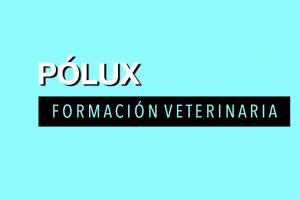 Pólux Formación Veterinaria