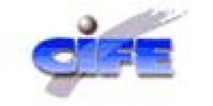 Consultoria Informatica Cife