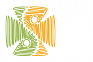 IFPS Roger de Llúria