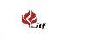 Instituto Tecnológico Del Fuego