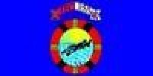 Federación de Salvamento y Socorrismo de Castilla y León