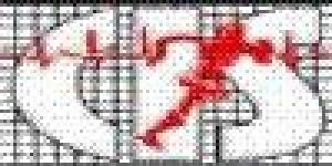 CIS - Centro Integral de Seguridad