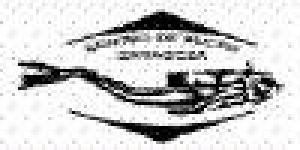 Centro de Buceo Zaragoza