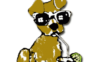 Peluqueria Canina Riscart