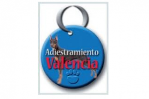 Adiestramiento Valencia S.l.