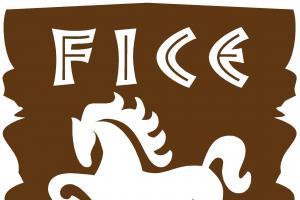FICE Formación