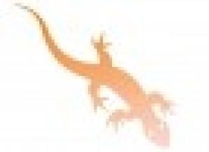 Anfitrix