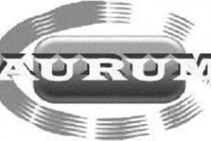 Aurum formación