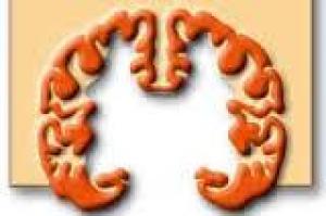 Sociedad Española de Neurología