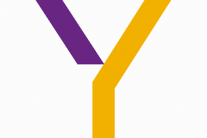 You Formación