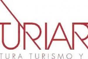 Turiart