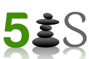 5senses