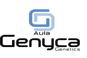 VIVOLABS