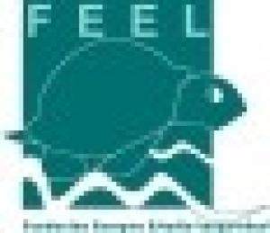 FIEEL