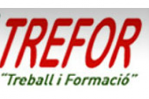 Trefor Castellón