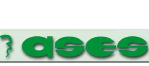 Ases Zaragoza