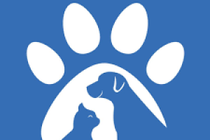 Animalia Formación