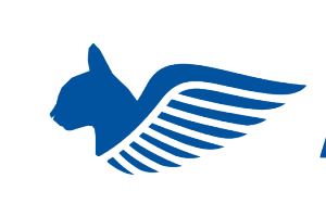 Aircatfly