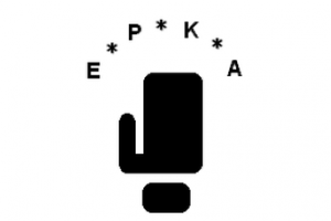 Europea Profesional Karate Asociacion