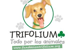 Fundación Trifolium