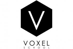 Voxel School