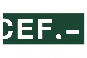 Cef - Centro de Estudios Financieros