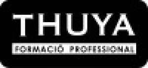 Thuya