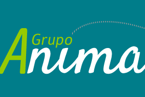 Animación, Servicios Educativos y Tiempo Libre