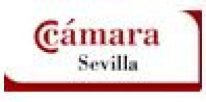 MBA TIC Camara de comercio de Sevilla