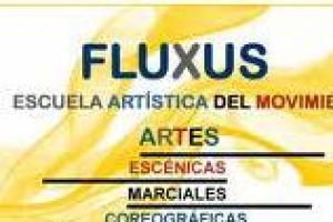Escuela Artística del Movimiento Fluxus