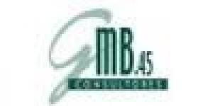 MB 45 - Management and Bussiness Consulting