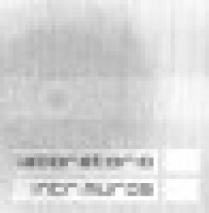 Laboratorio Intr:Muros