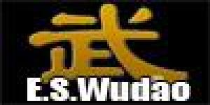 Escuela Superior WUDAO