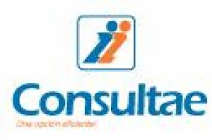 Consultae