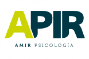 Academia APIR