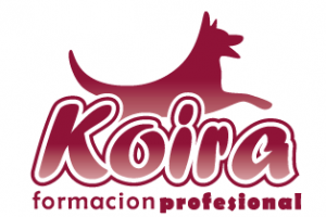 Centro Canino KOIRA