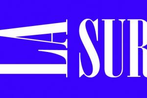 Feminicidio.net - Asociación La Sur