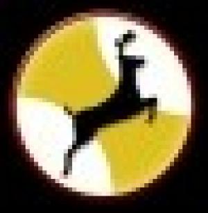 AINAMHO - Asociación Internacional de Acupuntura y Medicina Holistica
