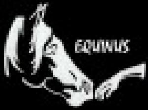 Equinus