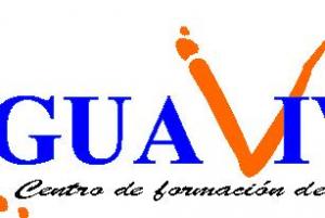 Lingua Viva Idiomas