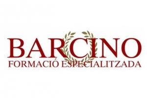 Barcino Formación