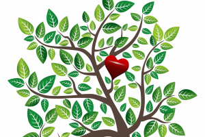 Árbol de vida, Centro Holístico & Gestalt