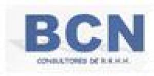 BCN Consultores