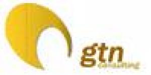 Gtn Consulting