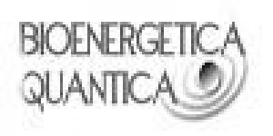 Bioenergetica Quantica