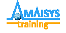 Amaisys Technologies