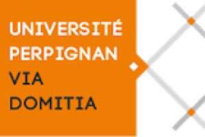 Universidad de Perpiñán, Programa Miro