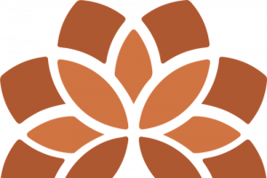 Dinámica Consciente