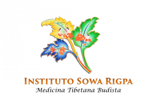 Instituto Sowa Rigpa